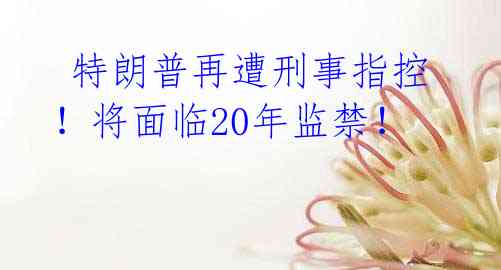  特朗普再遭刑事指控！将面临20年监禁！