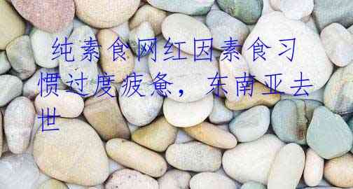  纯素食网红因素食习惯过度疲惫，东南亚去世