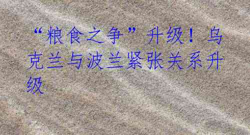 “粮食之争”升级！乌克兰与波兰紧张关系升级