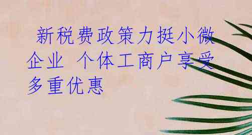  新税费政策力挺小微企业 个体工商户享受多重优惠