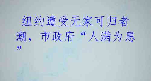  纽约遭受无家可归者潮，市政府“人满为患”