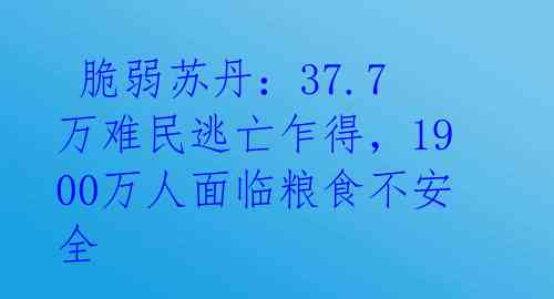  脆弱苏丹：37.7万难民逃亡乍得，1900万人面临粮食不安全