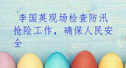  李国英现场检查防汛抢险工作，确保人民安全