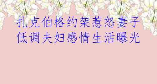 扎克伯格约架惹怒妻子 低调夫妇感情生活曝光