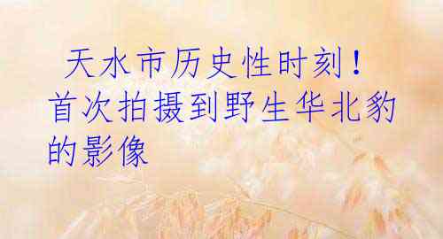  天水市历史性时刻！首次拍摄到野生华北豹的影像