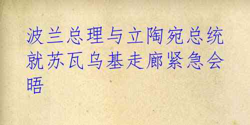 波兰总理与立陶宛总统就苏瓦乌基走廊紧急会晤