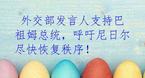  外交部发言人支持巴祖姆总统，呼吁尼日尔尽快恢复秩序！