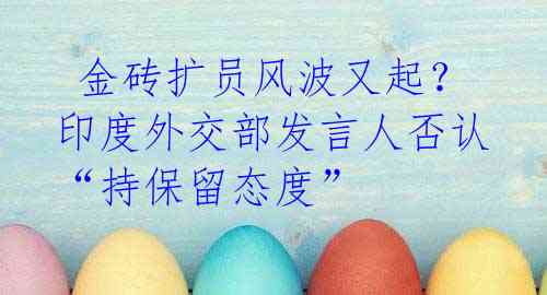  金砖扩员风波又起？印度外交部发言人否认“持保留态度”