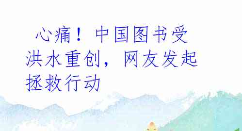  心痛！中国图书受洪水重创，网友发起拯救行动