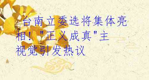  台南立委选将集体亮相! "正义成真"主视觉引发热议