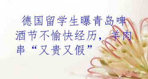  德国留学生曝青岛啤酒节不愉快经历，羊肉串“又贵又假”