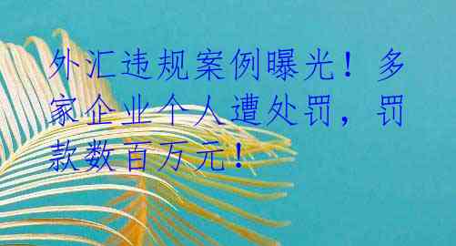 外汇违规案例曝光！多家企业个人遭处罚，罚款数百万元！
