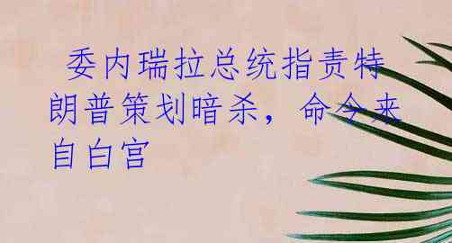  委内瑞拉总统指责特朗普策划暗杀，命令来自白宫
