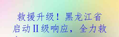  救援升级！黑龙江省启动Ⅱ级响应，全力救灾