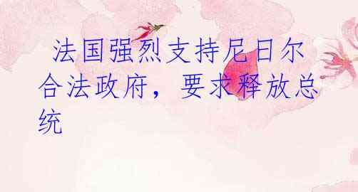  法国强烈支持尼日尔合法政府，要求释放总统