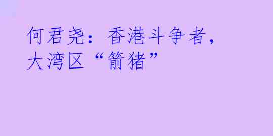何君尧：香港斗争者，大湾区“箭猪”