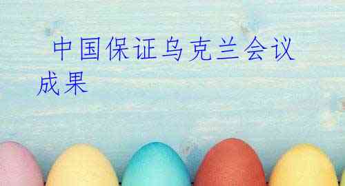  中国保证乌克兰会议成果