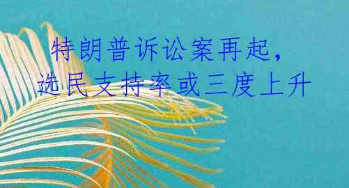  特朗普诉讼案再起，选民支持率或三度上升