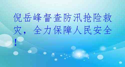 倪岳峰督查防汛抢险救灾，全力保障人民安全！