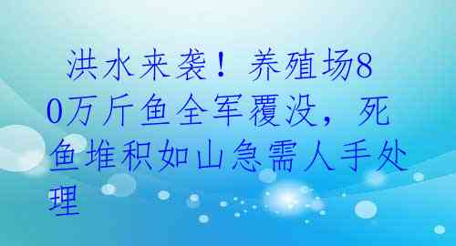  洪水来袭！养殖场80万斤鱼全军覆没，死鱼堆积如山急需人手处理