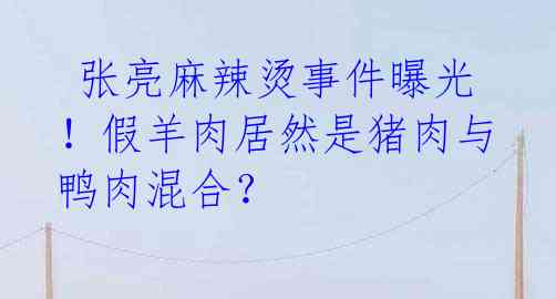  张亮麻辣烫事件曝光！假羊肉居然是猪肉与鸭肉混合？