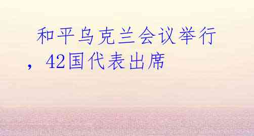  和平乌克兰会议举行，42国代表出席