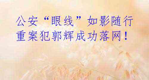  公安“眼线”如影随行 重案犯郭辉成功落网！