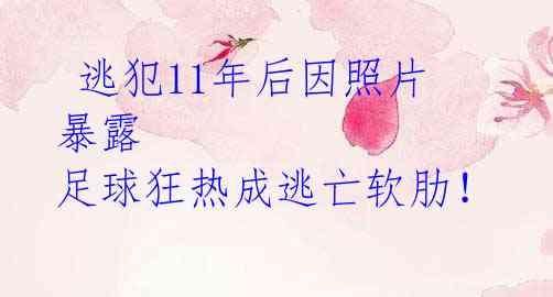  逃犯11年后因照片暴露 足球狂热成逃亡软肋！