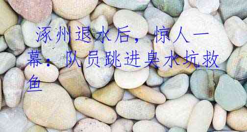  涿州退水后，惊人一幕：队员跳进臭水坑救鱼