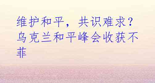 维护和平，共识难求？乌克兰和平峰会收获不菲
