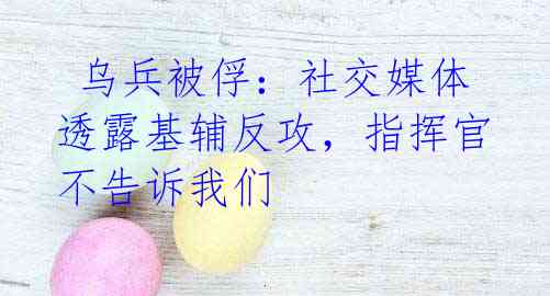  乌兵被俘：社交媒体透露基辅反攻，指挥官不告诉我们