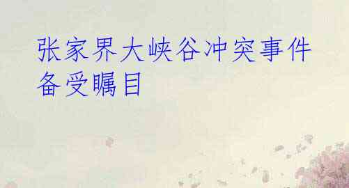  张家界大峡谷冲突事件 备受瞩目