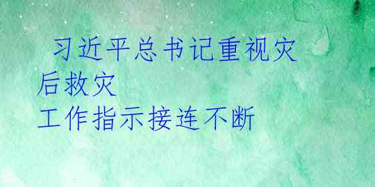  习近平总书记重视灾后救灾 工作指示接连不断