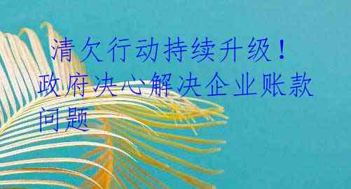  清欠行动持续升级！政府决心解决企业账款问题