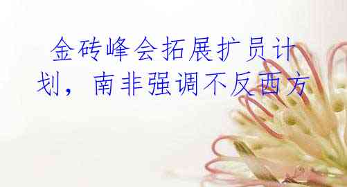  金砖峰会拓展扩员计划，南非强调不反西方