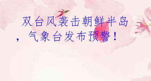  双台风袭击朝鲜半岛，气象台发布预警！
