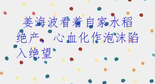  姜海波看着自家水稻绝产，心血化作泡沫陷入绝望