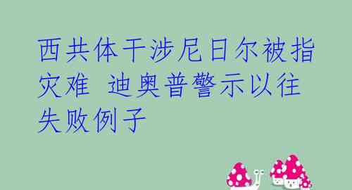 西共体干涉尼日尔被指灾难 迪奥普警示以往失败例子