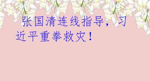  张国清连线指导，习近平重拳救灾！