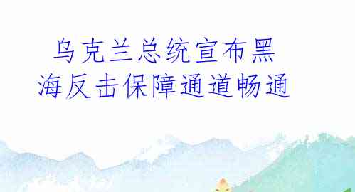  乌克兰总统宣布黑海反击保障通道畅通
