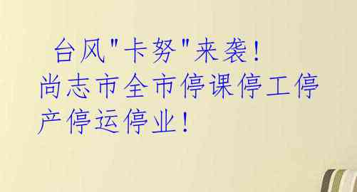  台风"卡努"来袭! 尚志市全市停课停工停产停运停业!