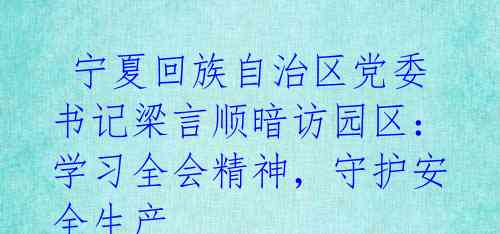  宁夏回族自治区党委书记梁言顺暗访园区：学习全会精神，守护安全生产