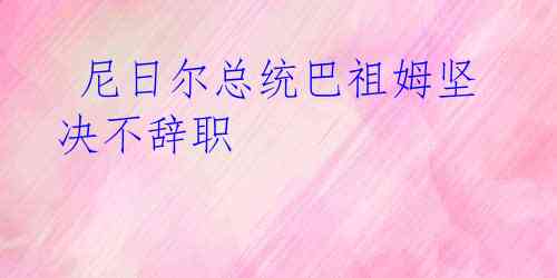 尼日尔总统巴祖姆坚决不辞职