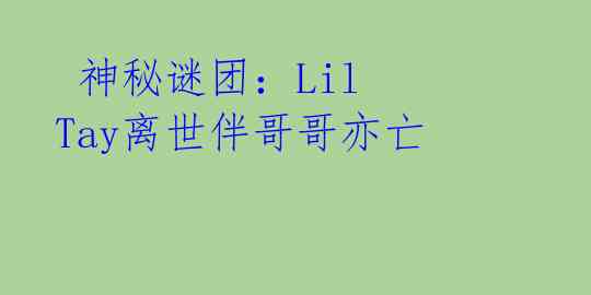  神秘谜团：Lil Tay离世伴哥哥亦亡