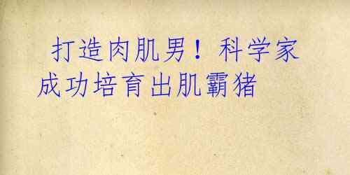  打造肉肌男！科学家成功培育出肌霸猪