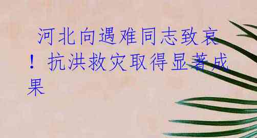  河北向遇难同志致哀！抗洪救灾取得显著成果
