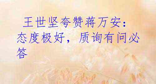  王世坚夸赞蒋万安：态度极好，质询有问必答
