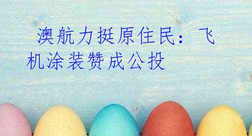  澳航力挺原住民：飞机涂装赞成公投
