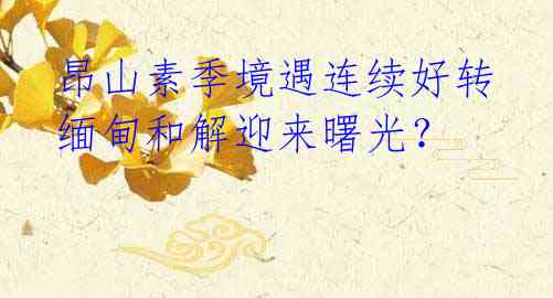  昂山素季境遇连续好转 缅甸和解迎来曙光？