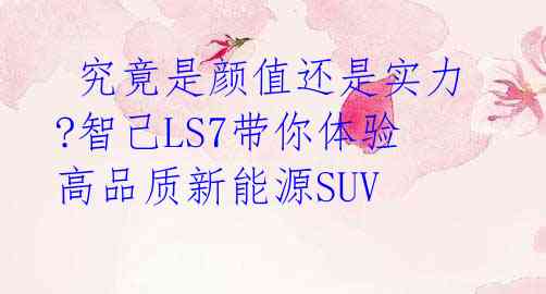  究竟是颜值还是实力?智己LS7带你体验高品质新能源SUV